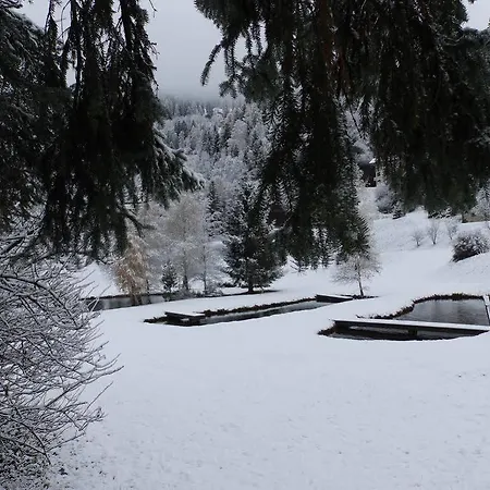 Värdshus Dalnig Bad Kleinkirchheim
