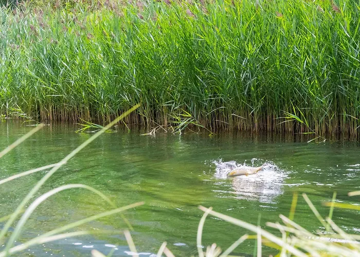 Dalnig Locanda Bad Kleinkirchheim