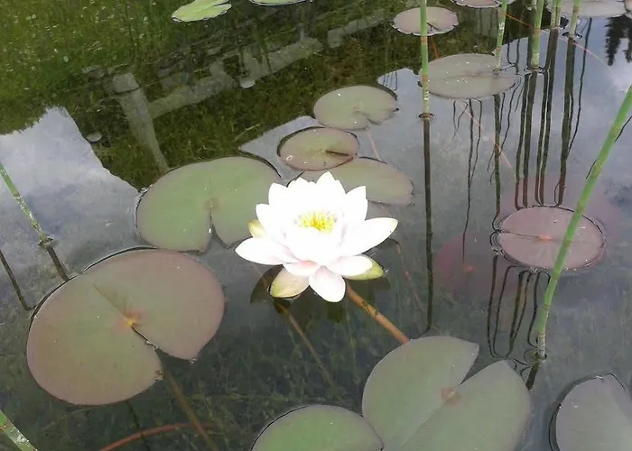 Dalnig 3* Bad Kleinkirchheim